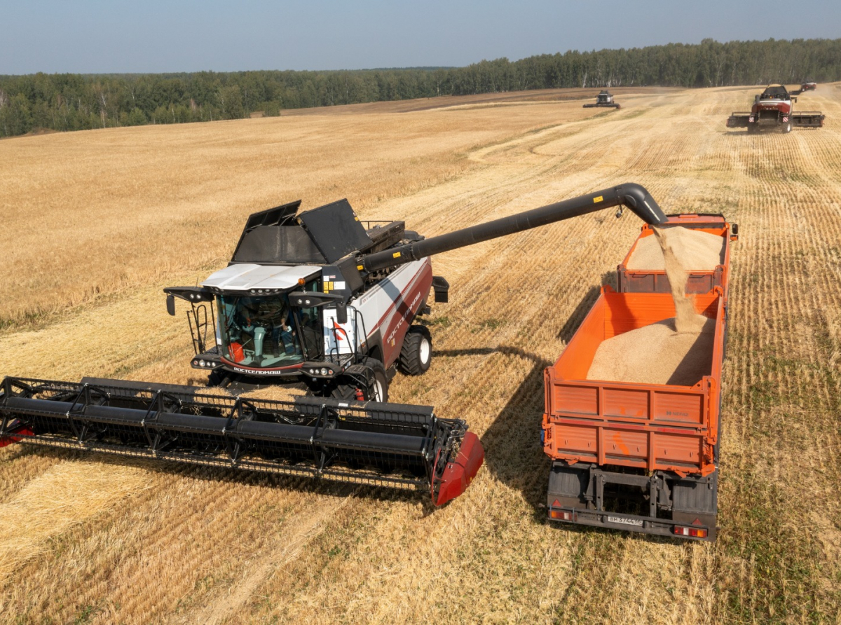 Фото предоставлено ДИП